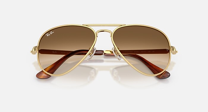 レイバン公式ストア】 Ray-Ban® AVIATOR MAX サングラス | アリスタ