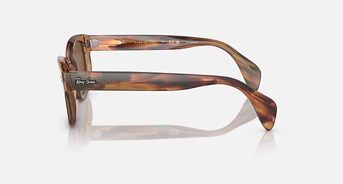 レイバン公式ストア】 Ray-Ban® RB0880S サングラス
