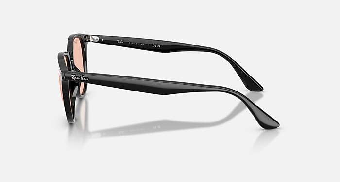 レイバン公式ストア】 Ray-Ban® RB4259 サングラス | ブラック X
