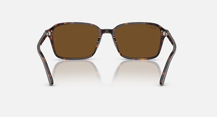 RAIMOND Sunglasses in Havana and Brown Polarized - RB2231F | Ray