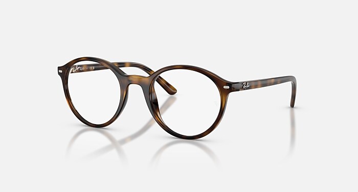 RB1730 OPTICS KIDS Eyeglasses with Havana and Clear (47-20