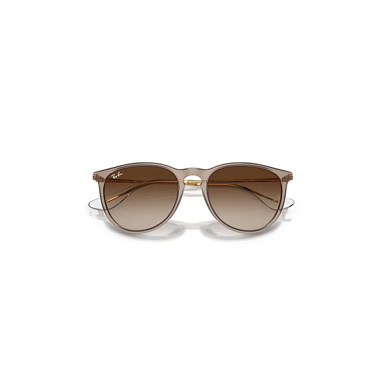 Ray-Ban Erika Classic Sunglasses Gold Frame Brown Lenses 54-18