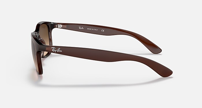 ANDY Sunglasses in Brown and Brown Gradient (55-17) - RB4202 | Ray