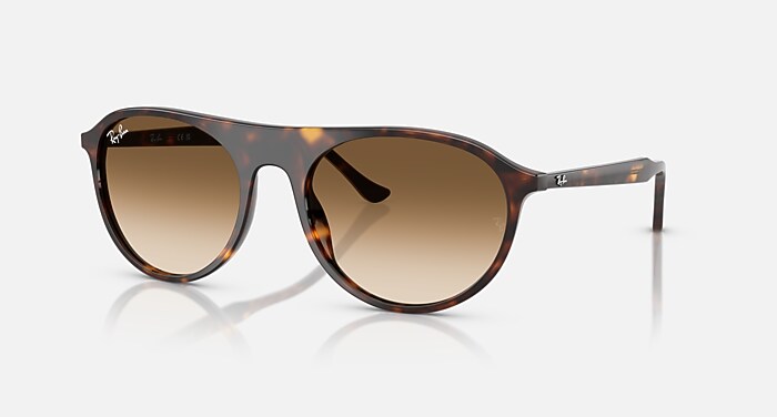 Ray-Ban RB2223F レイバン オーバル Rb2223 サングラス RB2223 ポラライズド（偏光） サングラス ハバナ と グレー
