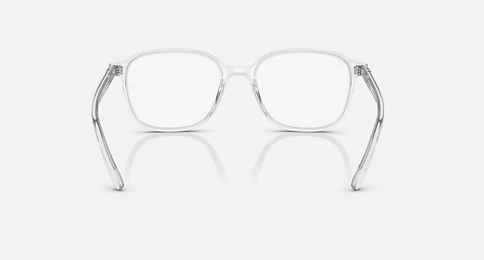 LEONARD TRANSITIONS® Sunglasses in Transparent and Clear/Grey