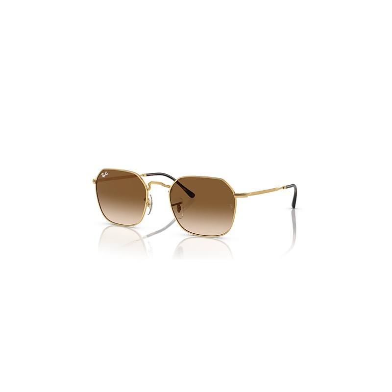 Ray-Ban Sunglasses  Jim - Arista Gold Frame Brown Lenses 53-20, RB3694