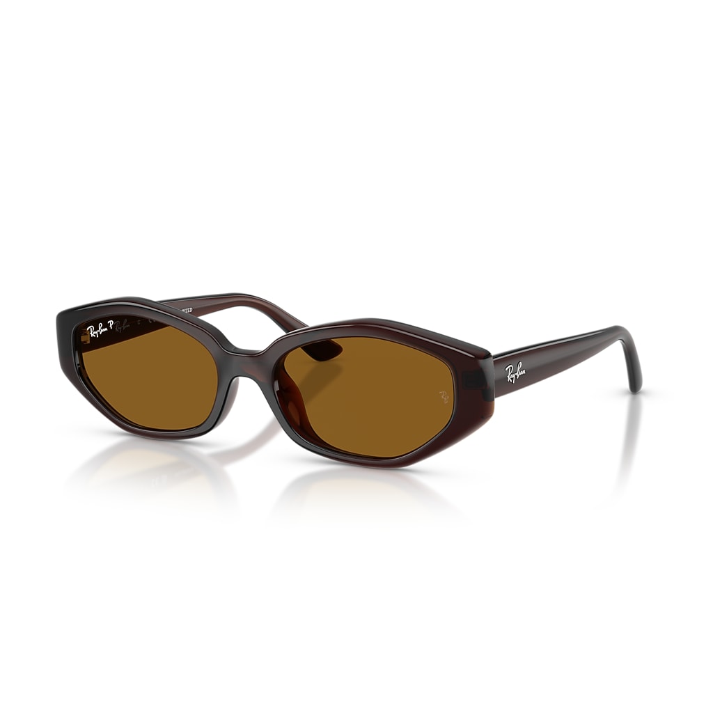 RB4473D Sunglasses in Dark Brown and Dark Brown Polarized