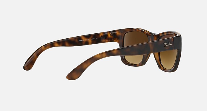 RB4194 Sunglasses in Light Havana and Brown Gradient (53-17  display picture 3