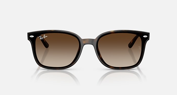 レイバン公式ストア】 Ray-Ban® RB4461D サングラス | ハバナ X 諧調 