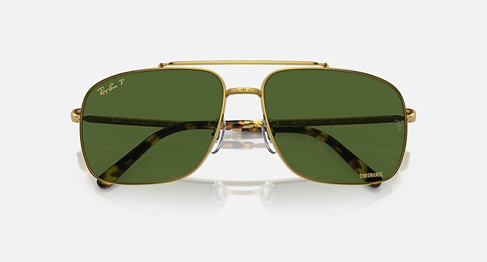 RB3796 POLARIZED+ LENSES Polarized Sunglasses in Gold and Dark