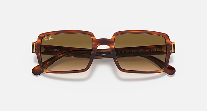 BENJI Sunglasses in Striped Havana and Brown (54-20) - RB2189