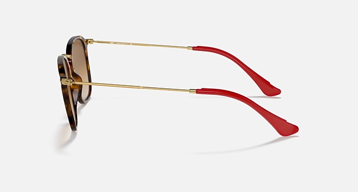 Rb2448nm Scuderia Ferrari Collection Sunglasses in Havana Frame