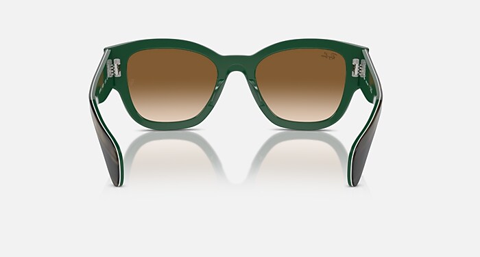 JORGE Sunglasses in Striped Green On Green and Clear & Brown