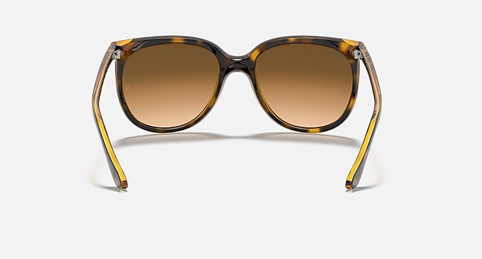 CATS 1000 Sunglasses in Light Havana and Light Brown  display picture 1