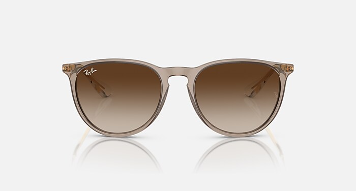 ERIKA CLASSIC Sunglasses in Transparent Light Brown and Brown