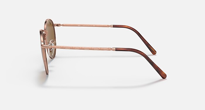 NEW ROUND Sunglasses in Rose Gold and Brown (53-21) - RB3637 | Ray
