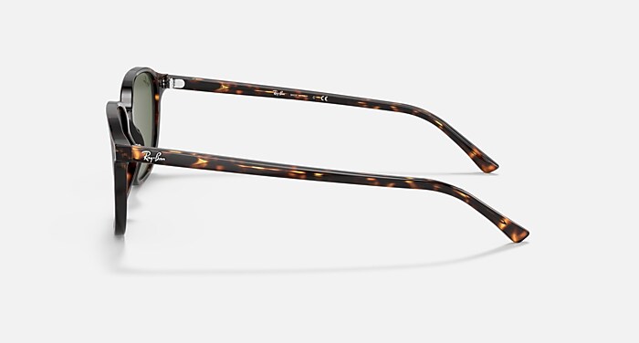 LEONARD Sunglasses in Tortoise and G-15 Green (53-18) - RB2193