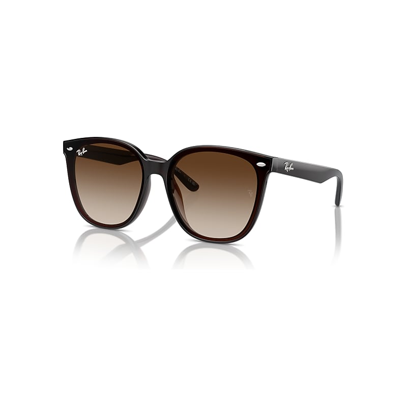 Ray-Ban RB4423D, Transparent Brown Sunglasses Brown lenses, Mojo Glasses - Image 4