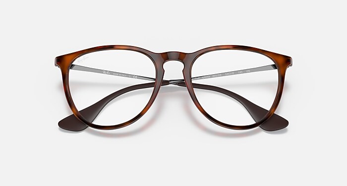 ERIKA BLUE-VIOLET LIGHT CLEAR Everglasses Havana and Clear (57-18