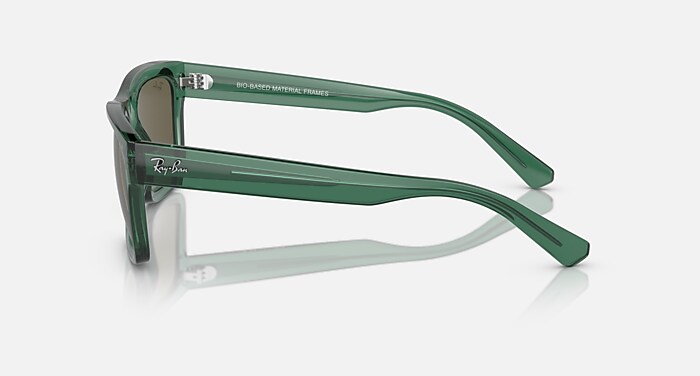 Óculos de Sol WARREN BIO-BASED em Verde transparente e Marrom