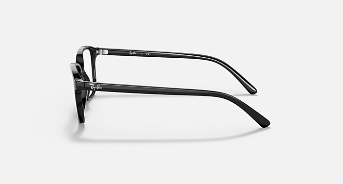 LEONARD OPTICS KIDS Polarized Eyeglasses with Black and Clear (43