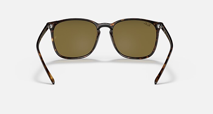 レイバン公式ストア】 Ray-Ban® RB4387 サングラス | トートシェル X