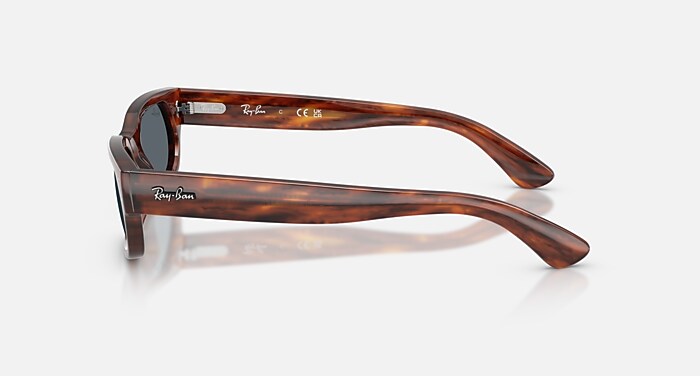 RB2236 Sunglasses in Striped Havana and Blue (54-20) - RB2236