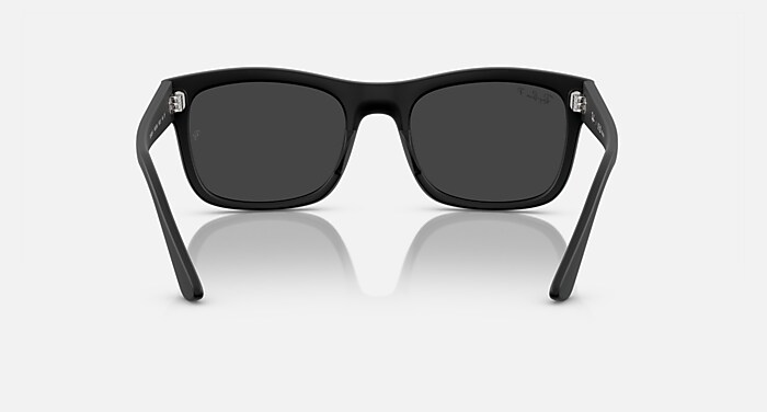 レイバン公式ストア】 Ray-Ban® RB4428 サングラス | ブラック X 