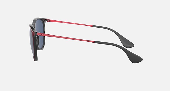 ERIKA COLOR MIX Sunglasses in Red Metal and Dark Blue (54-18