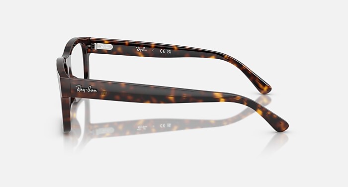 RB5435 OPTICS メガネ ハバナ と クリア (54-19) - RB5435F