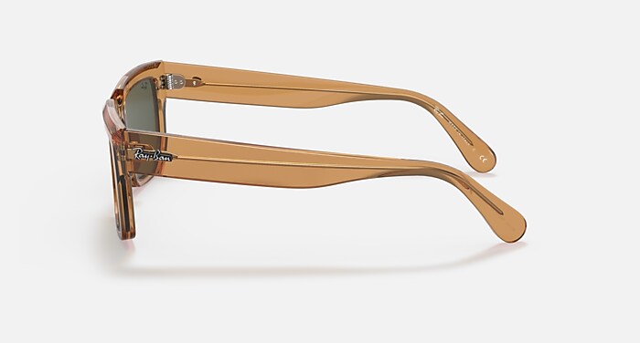 INVERNESS @COLLECTION Sunglasses in Transparent Light Brown and G