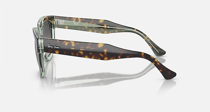 MEGA HAWKEYE Polarized Sunglasses in Havana On Transparent Green