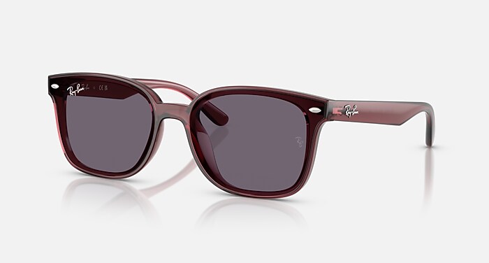 レイバン公式ストア】 Ray-Ban® RB4461D サングラス | 透明ダーク 