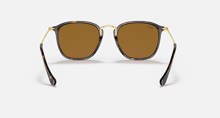 RB2448N Sunglasses in Tortoise and B-15 Brown (53-21) - RB2448NF