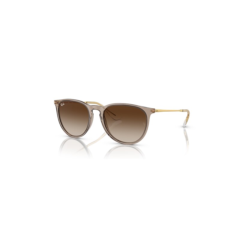 Ray-Ban Erika Classic Sunglasses Gold Frame Brown Lenses 54-18