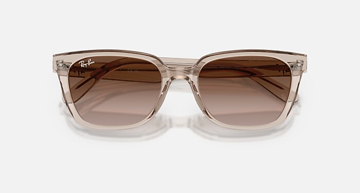 Ray-Ban サングラス ブラウン クリアフレーム RB2243D サングラス 透明ライトブラウン と ライトブラウン