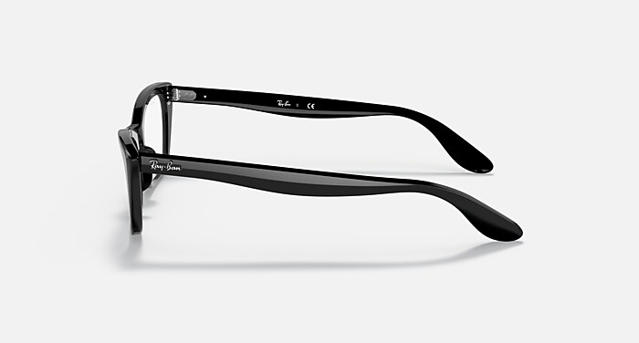 LADY BURBANK OPTICS Polarized Eyeglasses with Black and Clear (49
