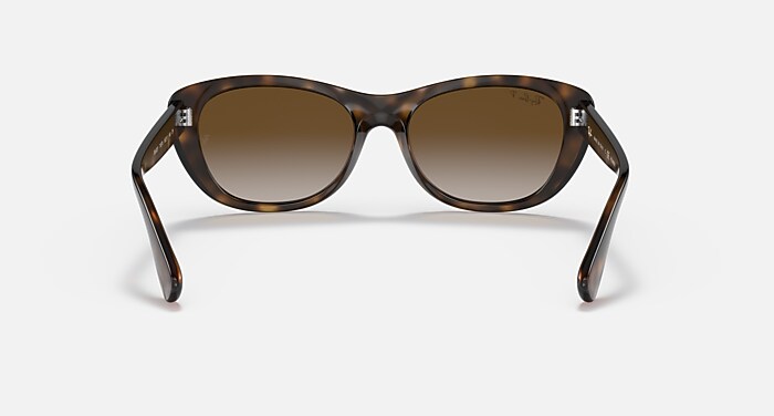 RB4227 Polarized Sunglasses in Light Havana and Brown Polarized