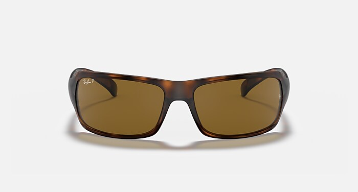 RB4075 Polarized Sunglasses in Havana and Brown Polarized (61-16
