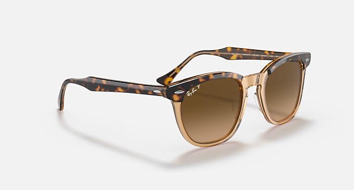 レイバン公式ストア】 Ray-Ban® HAWKEYE サングラス | 透明ブラウン上