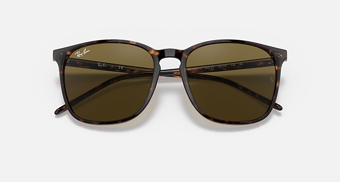レイバン公式ストア】 Ray-Ban® RB4387 サングラス | トートシェル X