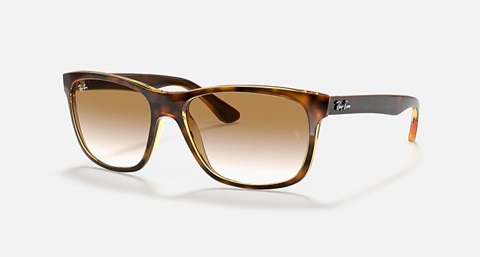 レイバン公式ストア】 Ray-Ban® RB4181 サングラス | ライトハバナ X 