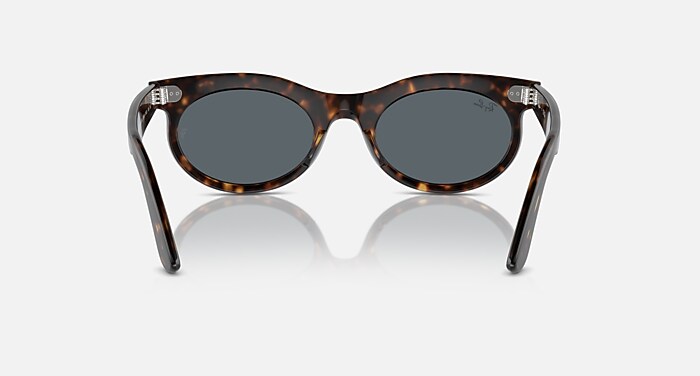WAYFARER OVAL Sunglasses in Havana and Blue (50-22) - RB2242 | Ray