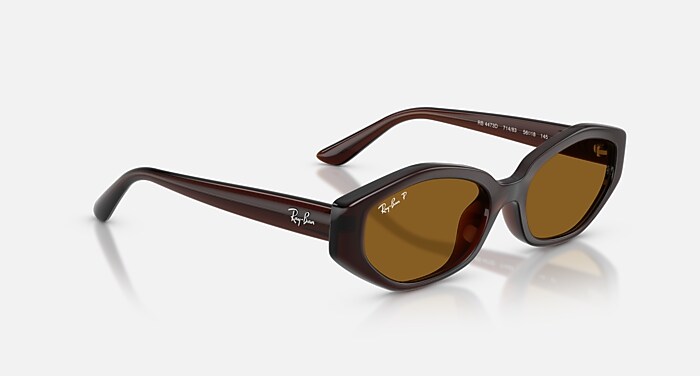 レイバン公式ストア】 Ray-Ban® RB4473D サングラス | ダークブラウン