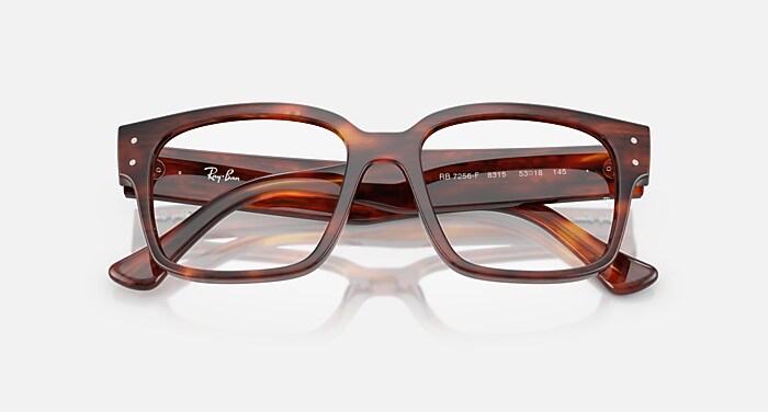 LAURENE OPTICS BIO-BASED メガネ ストライプハバナ と クリア (50-18