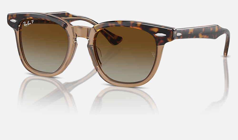 Ray-Ban クリアブラウン サングラス RB9098S KIDS ポラライズド（偏光） サングラス 透明上にハバナ と
