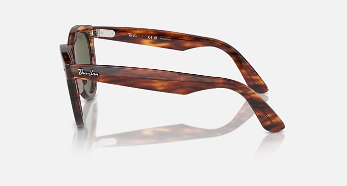 WAYFARER WAY Polarized Sunglasses in Striped Havana and Green