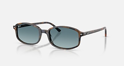 SAM Polarized Sunglasses in Havana Brown Grey and Brown Polarized