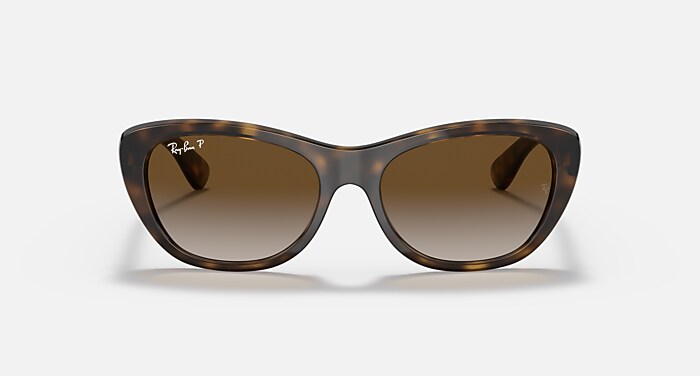 RB4227 Polarized Sunglasses in Light Havana and Brown Polarized