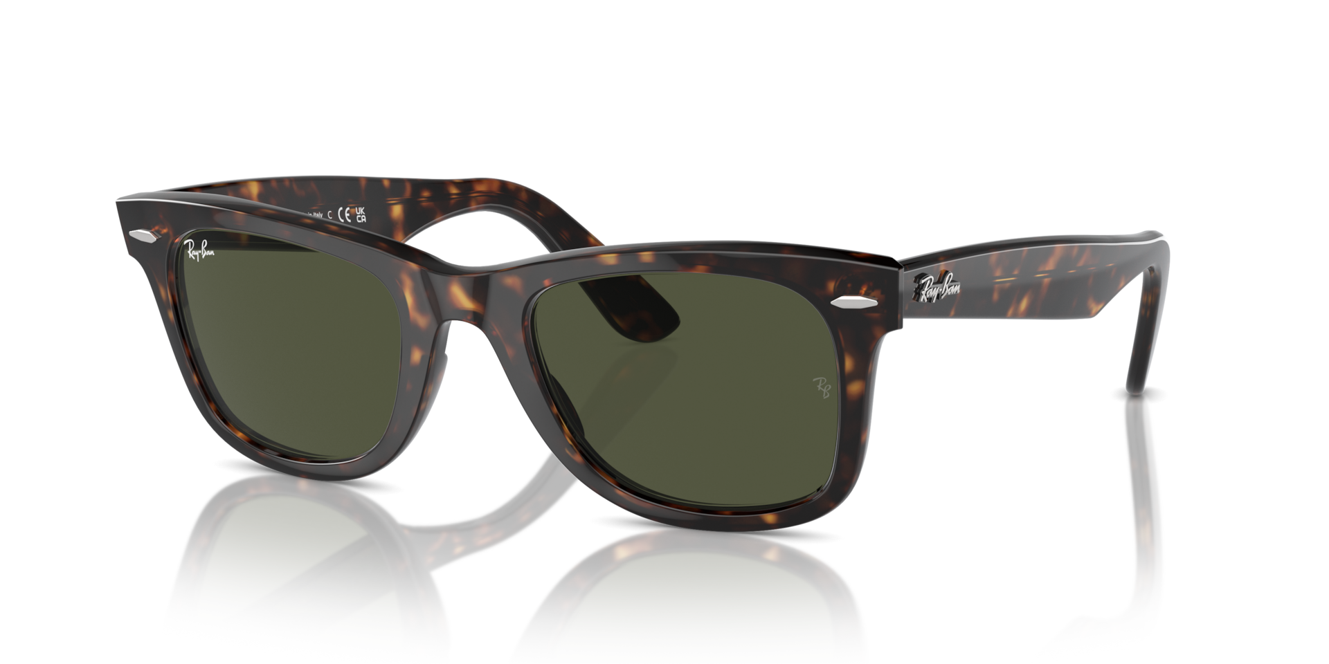 ORIGINAL WAYFARER CLASSIC Sunglasses in Tortoise and G-15 Green